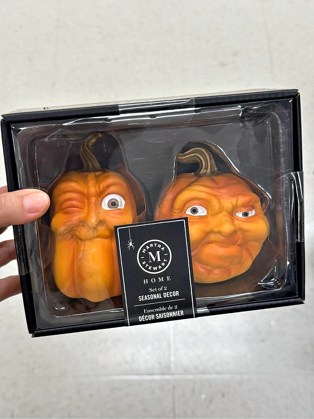 Martha Stewart Pumpkin Season Decor Set NWT